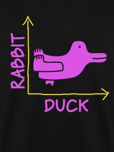 Wittgensteins Hasen-Enten-Illusion