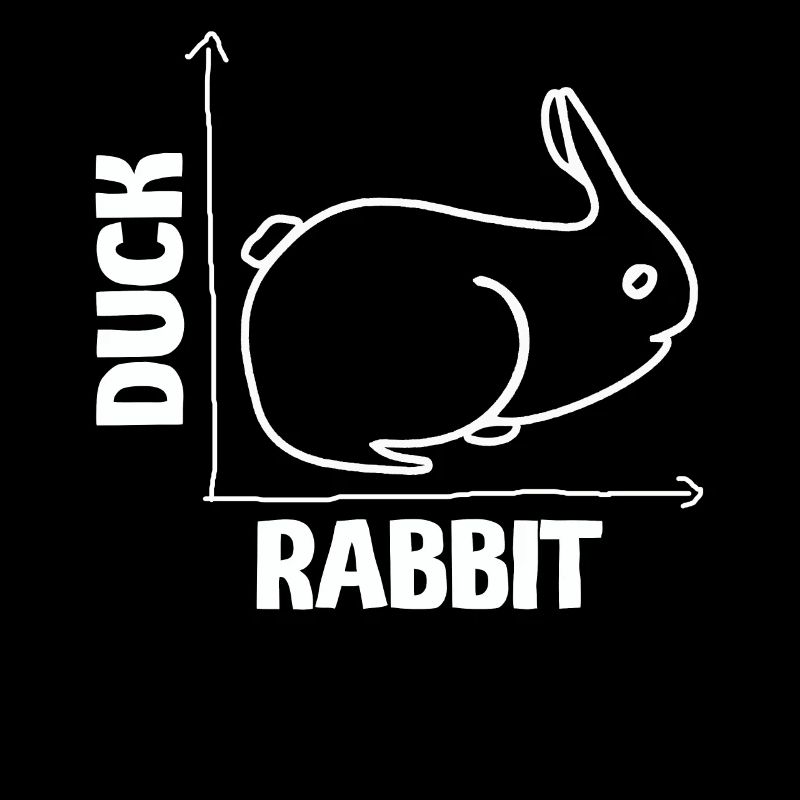 Wittgensteins Rabbit Duck Illusion