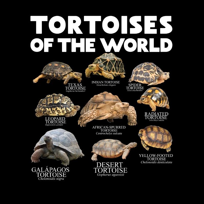 Shields of the World Save the Shields