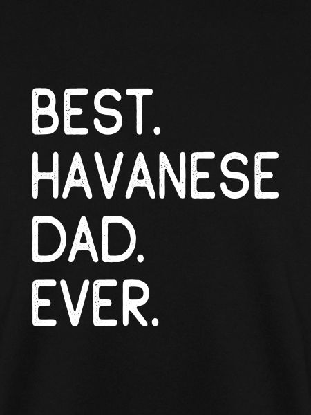 Havaneser Havanese