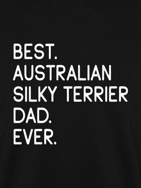 Australian Silky Terrier Dad