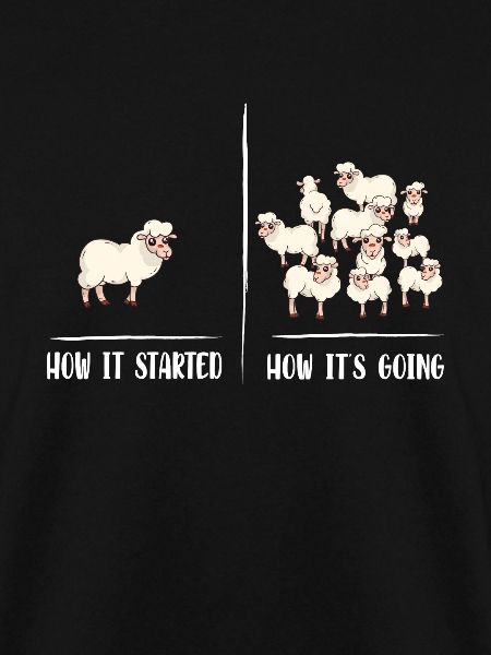 Ein Schaf viele Schafe