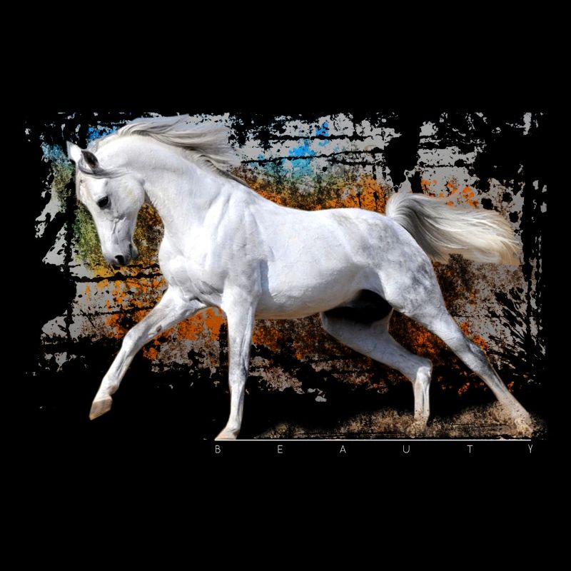 pferd
