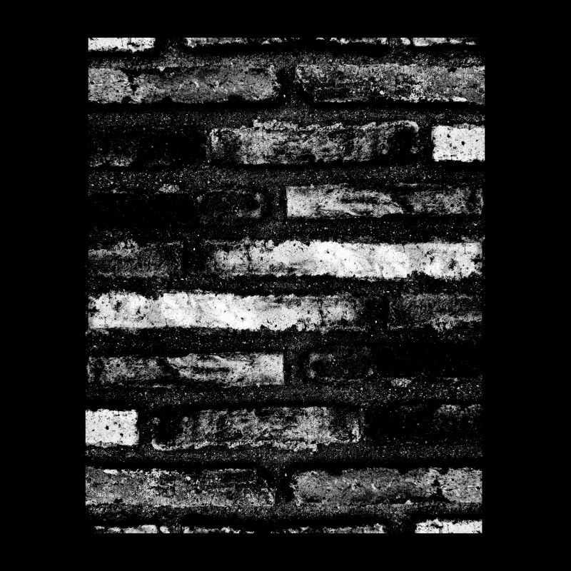 Noir et blanc. Fond de briques vinrag