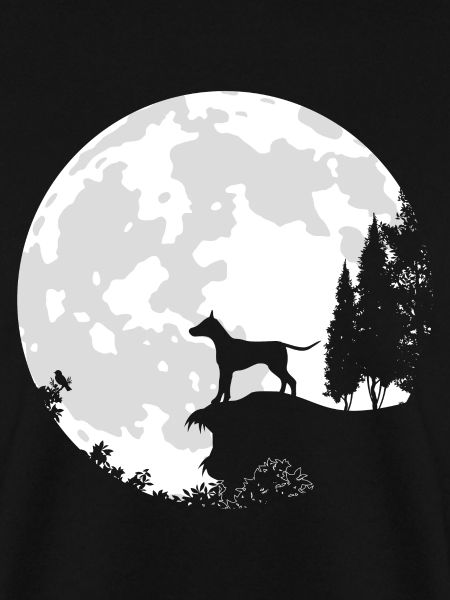 Hund Vollmond Dobermann