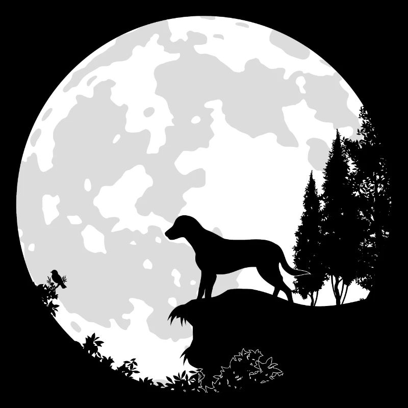 Hund Vollmond Labrador