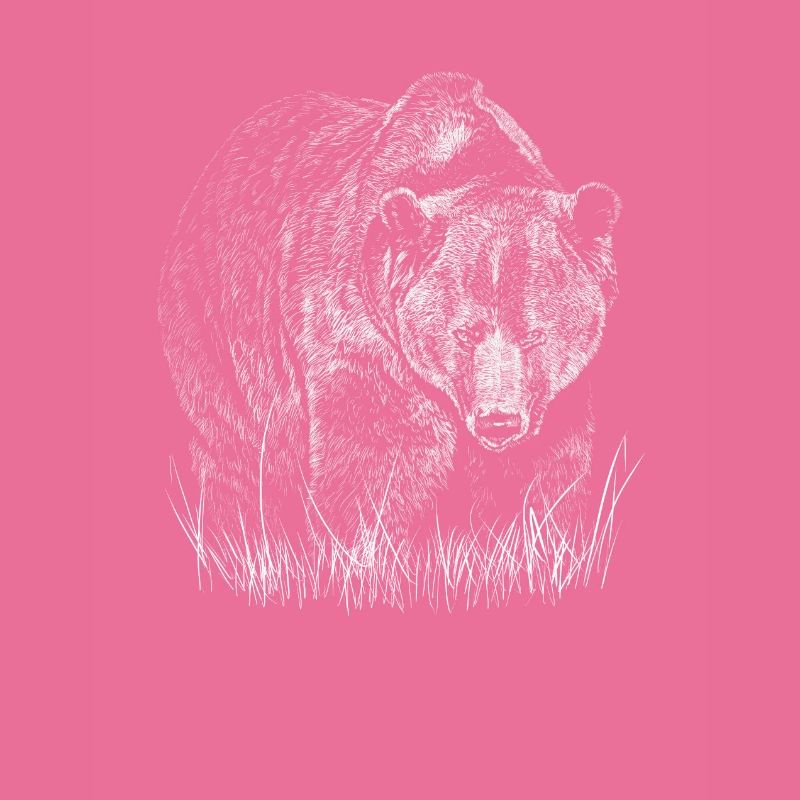 Bär