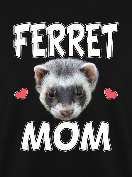 Ferret Mom