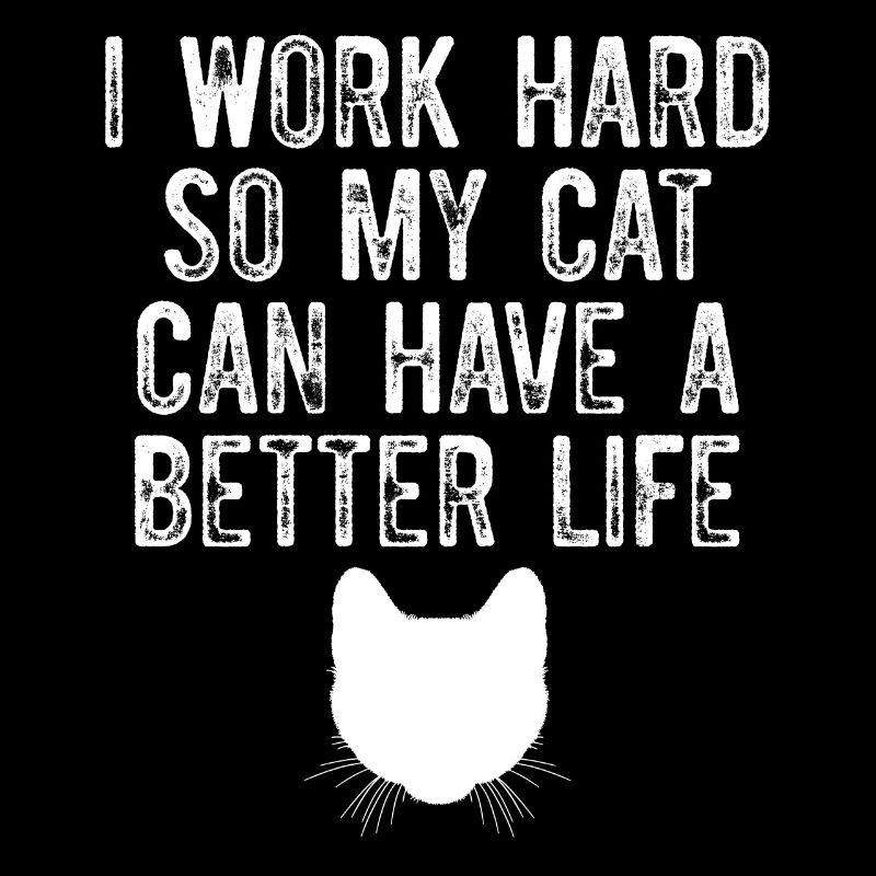I work hard to make my cat have a better