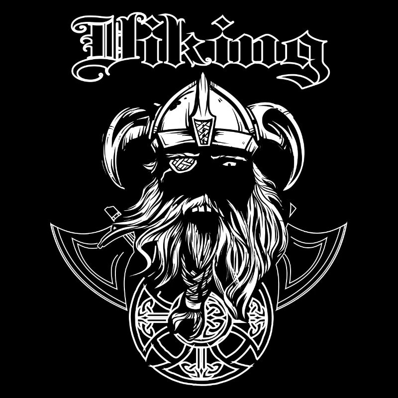 Vikings vikings avec bouclier et hache