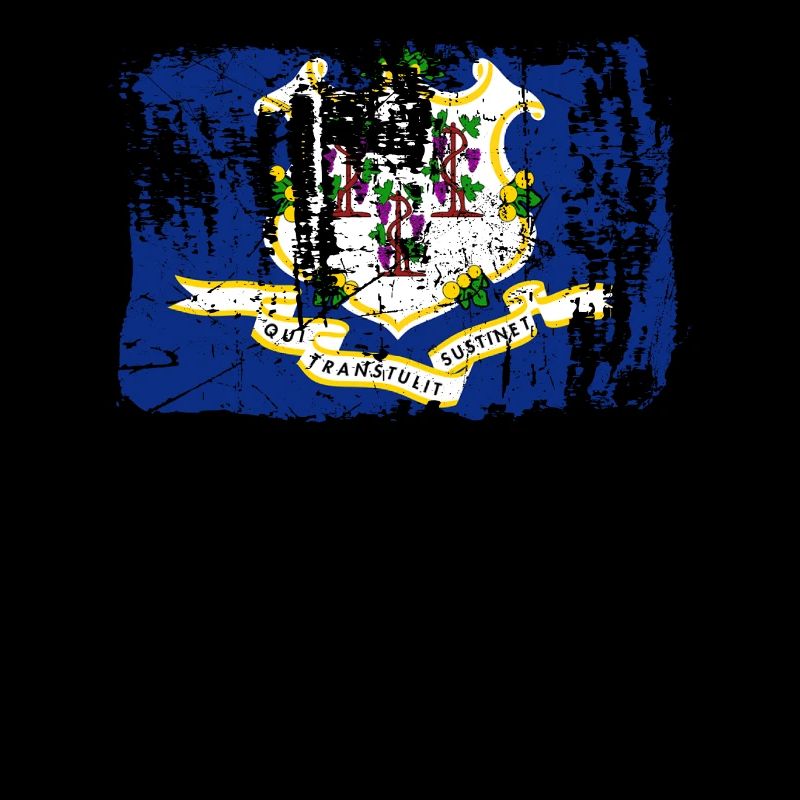 Le Connecticut drapeaux fier cadeau