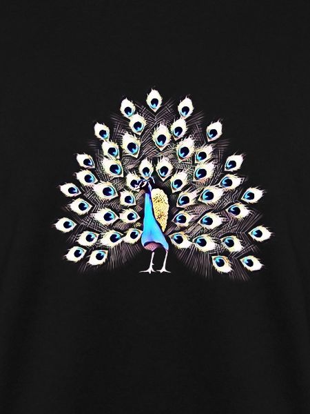 peacock