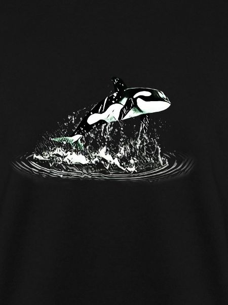Orca