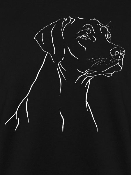 Rhodesian Ridgeback Rüde Geschenk