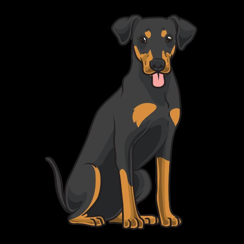 Deutscher Pinscher Hund
