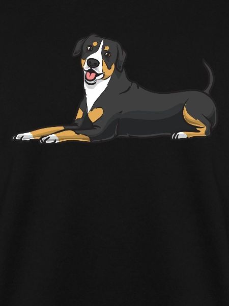 Entlebucher Sennenhund Hund