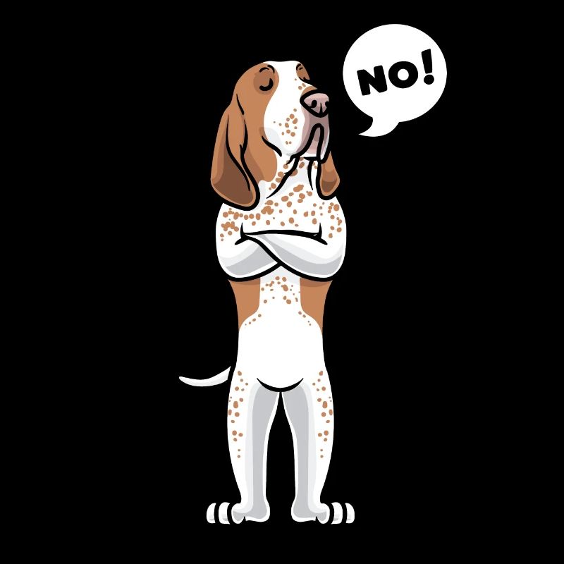 Bracco Italiano Hund