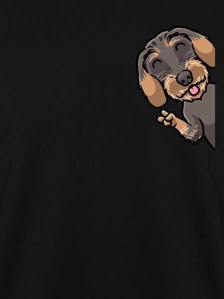 Rough-haired Dachshund Dog