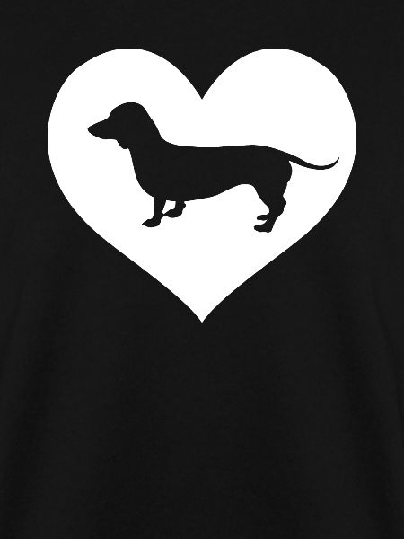 Dackel Dachshund