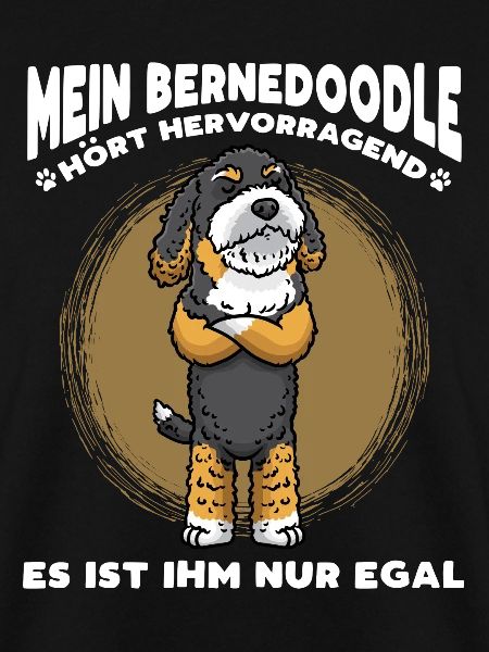 Stur Bernedoodle Hund