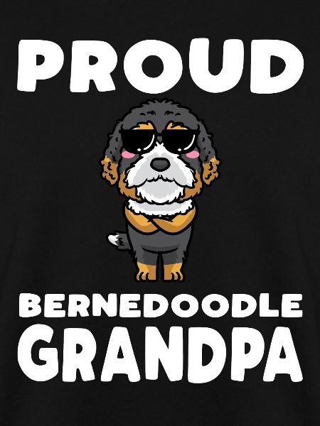 Bernedoodle Dog