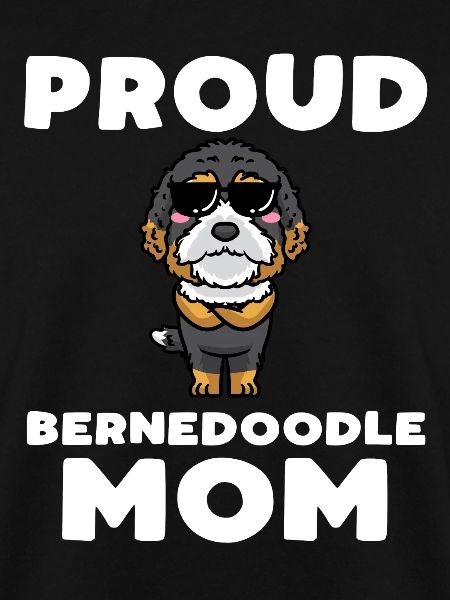 Bernedoodle Hund