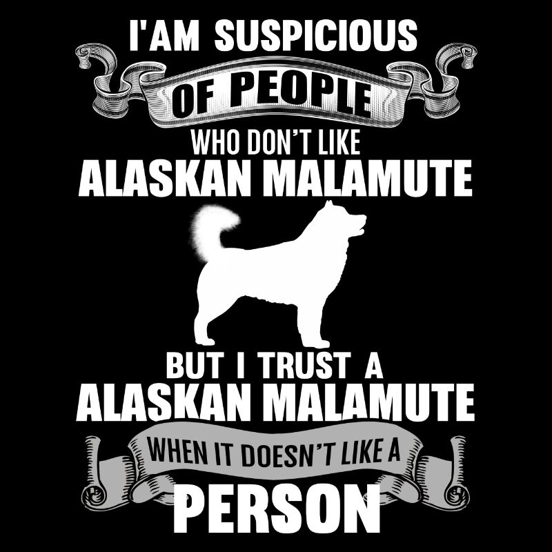 Alaskan Malamute
