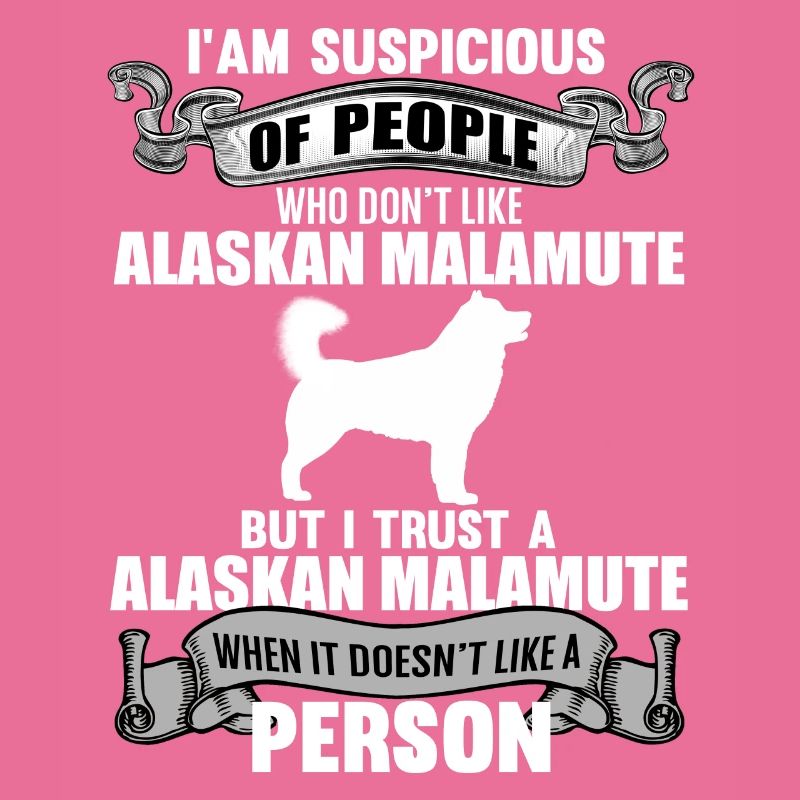 Alaskan Malamute