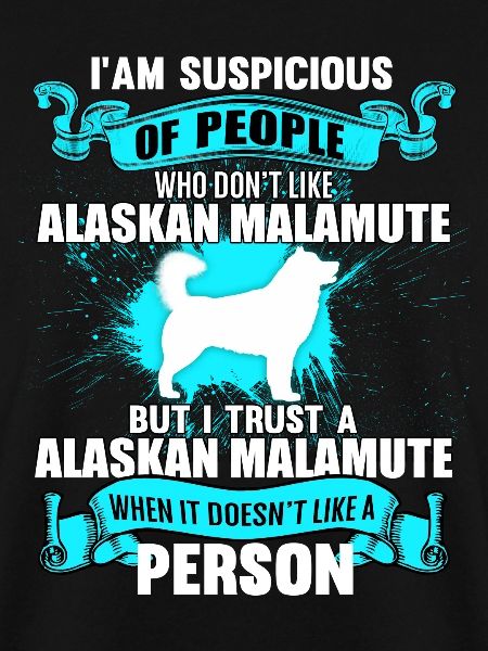 Alaskan Malamute