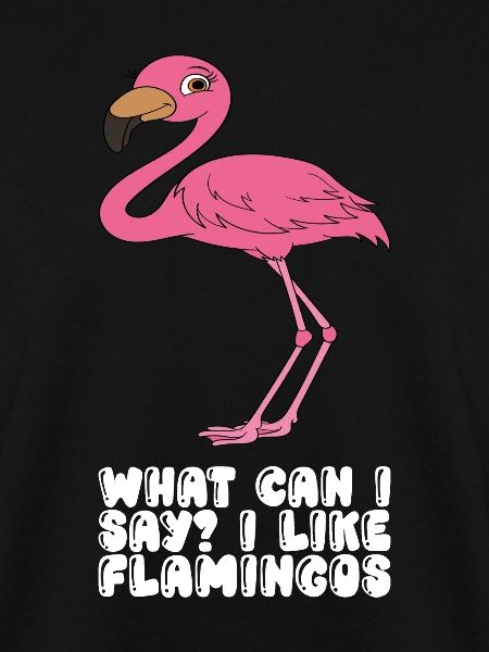 Funny flamingo graphics