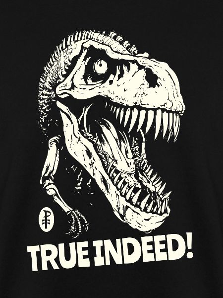 Wahrlich, ein Dinosaurierschädel