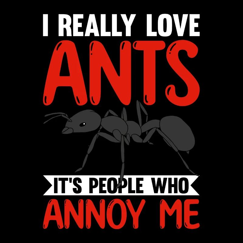Antkeeping Ameisenzucht Ameisen