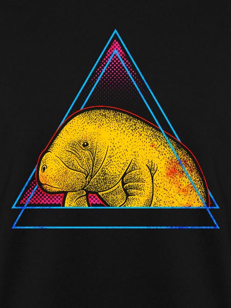 Manatee - Manatee