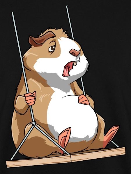 Meerschweinchen Schaukelt