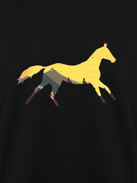 Wildpferd Pferd Pferde Wildpferde