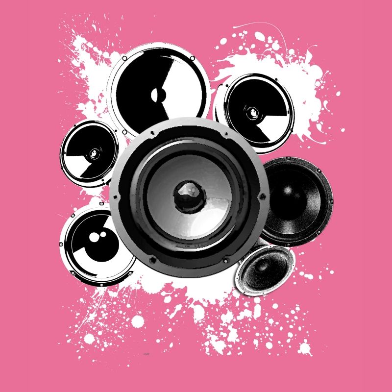 Construction haut-parleur haut-parleur Hifi classe de référence techno