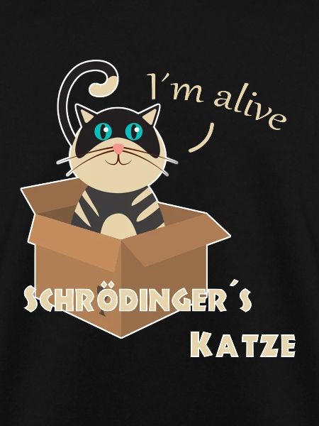 Schrödinger s katze