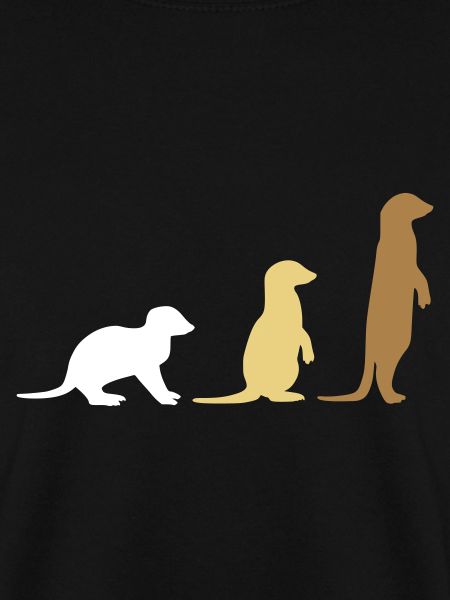 Meerkat three vector