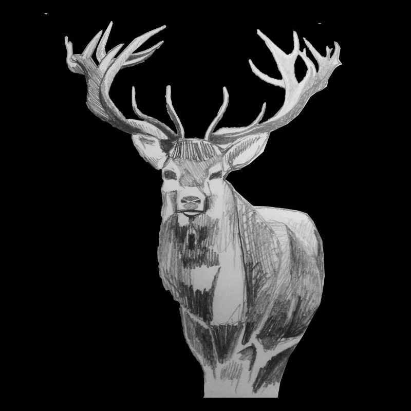 Hirsch, Tracht, Jagd