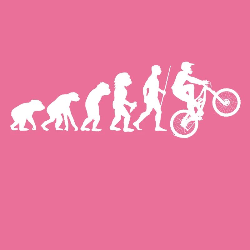 Bicycle evolution