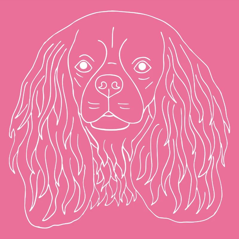 Cavalier King Charles Spaniel