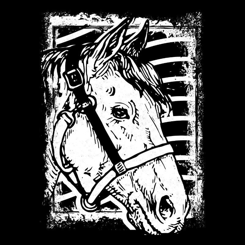 Reiten - Reiter - Pferd - Pferdekopf