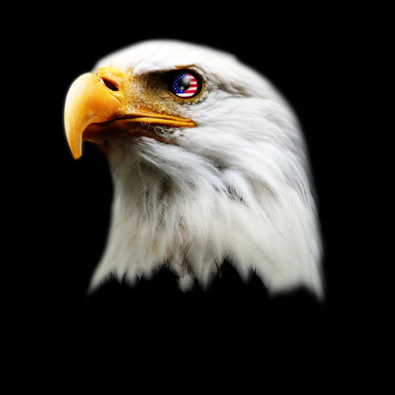 Usa Eagle Patriot Flag Gift