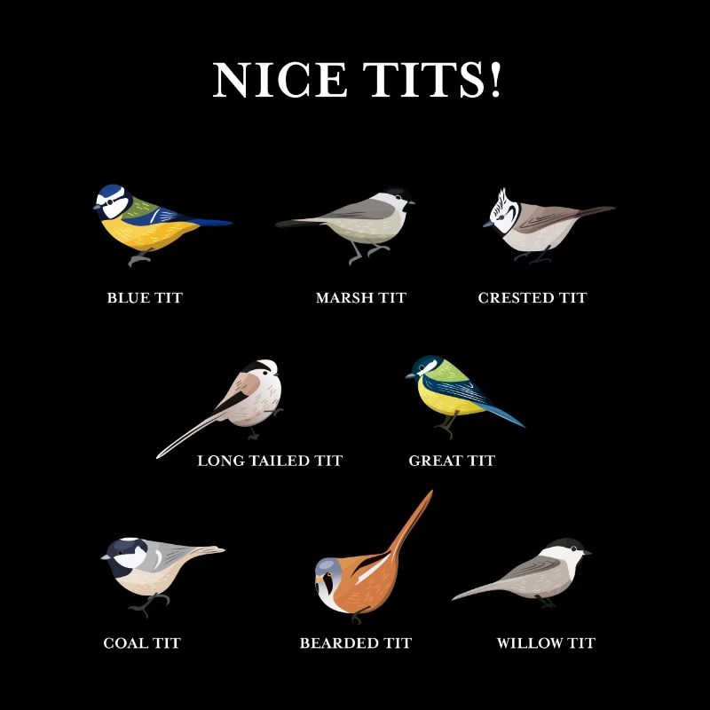 Nice tits Funny Bird watching Gift Idea