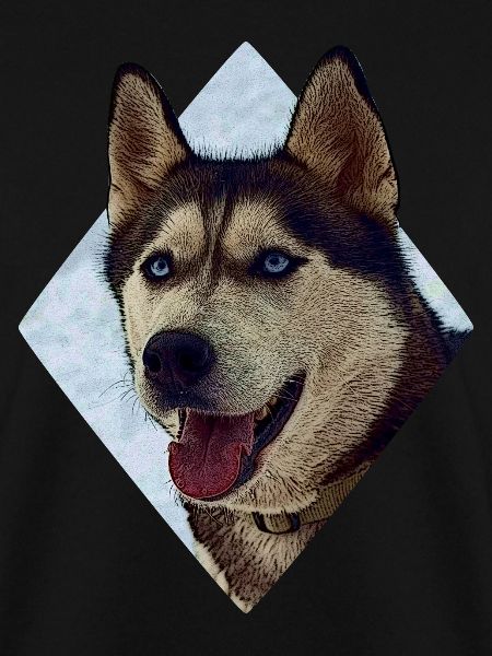 Husky