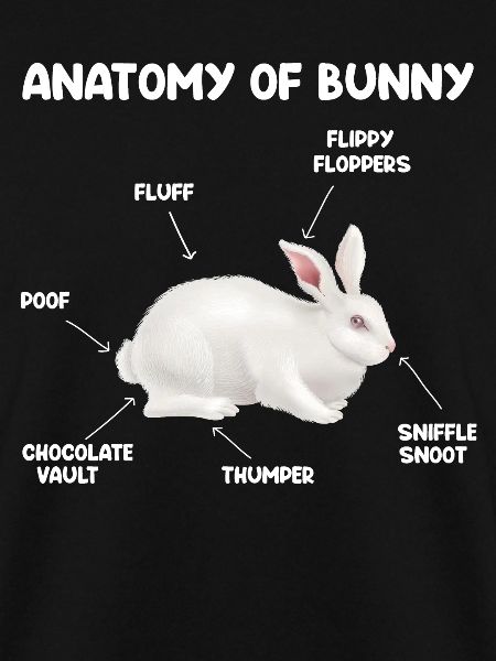 Bunnies rabbits easter