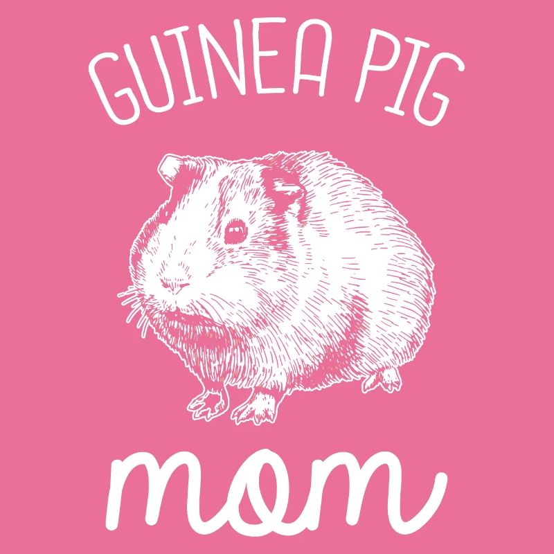 Cochons d'Inde Rosette Cochons d'Inde