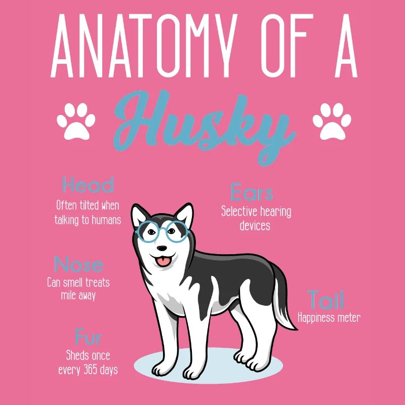 Huskyhund