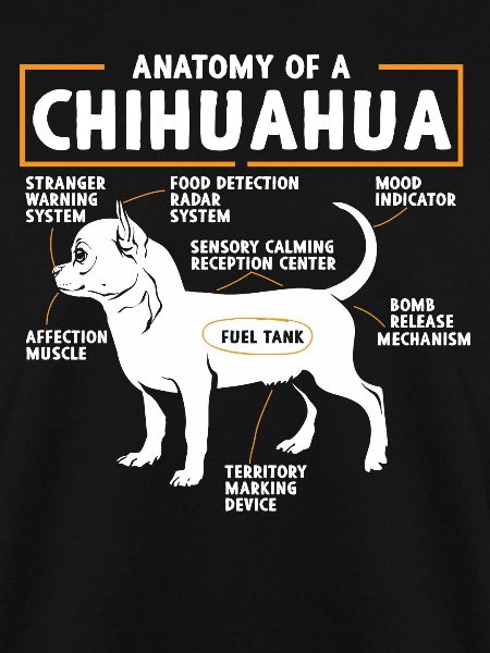 Chihuahua