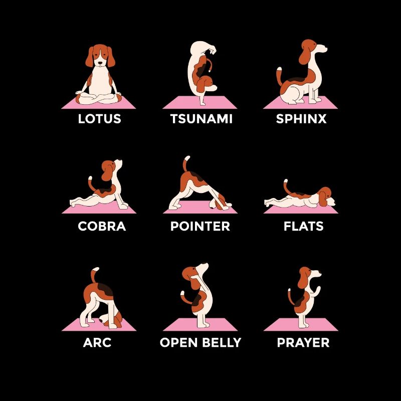 Hundeyogaposen